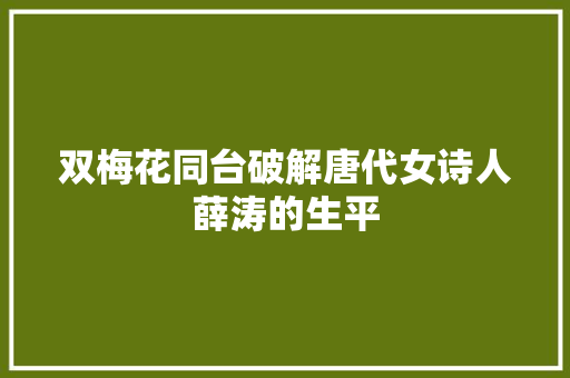 双梅花同台破解唐代女诗人薛涛的生平