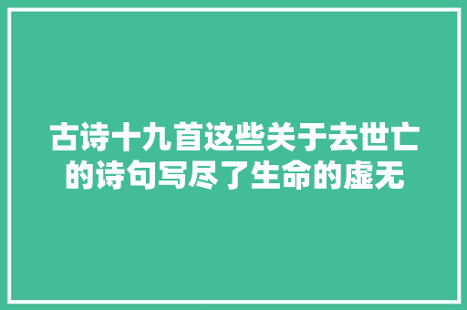 古诗十九首这些关于去世亡的诗句写尽了生命的虚无