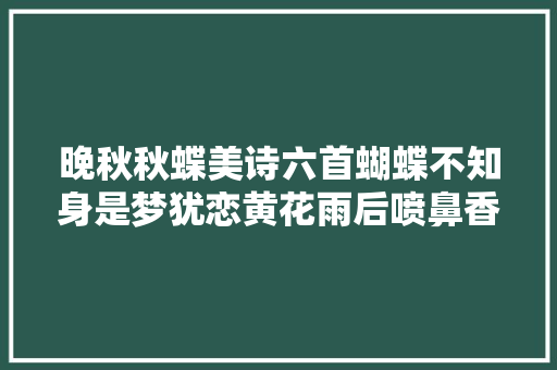 晚秋秋蝶美诗六首蝴蝶不知身是梦犹恋黄花雨后喷鼻香