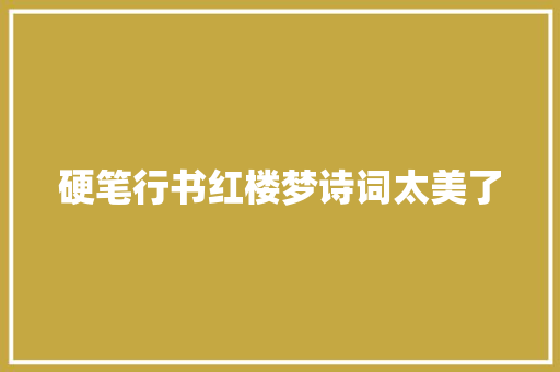 硬笔行书红楼梦诗词太美了