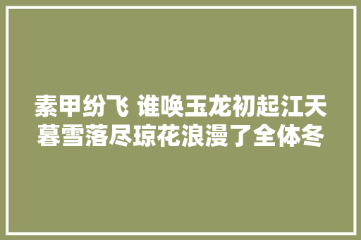 素甲纷飞 谁唤玉龙初起江天暮雪落尽琼花浪漫了全体冬天