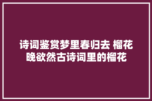 诗词鉴赏梦里春归去 榴花晚欲然古诗词里的榴花