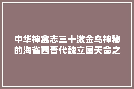 中华神禽志三十漱金鸟神秘的海雀西晋代魏立国天命之兆