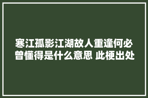 寒江孤影江湖故人重逢何必曾懂得是什么意思 此梗出处介绍