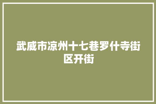 武威市凉州十七巷罗什寺街区开街