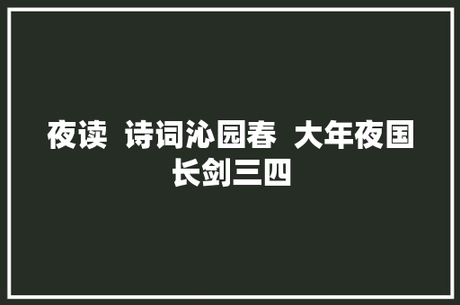 夜读  诗词沁园春  大年夜国长剑三四