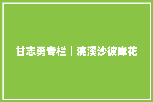 甘志勇专栏｜浣溪沙彼岸花