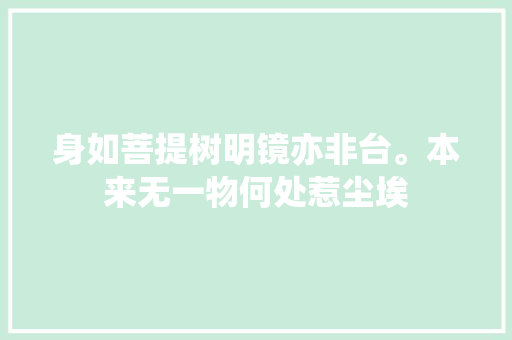 身如菩提树明镜亦非台。本来无一物何处惹尘埃