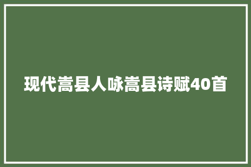 现代嵩县人咏嵩县诗赋40首