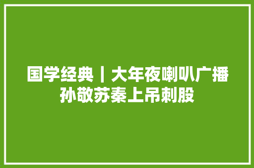 国学经典｜大年夜喇叭广播孙敬苏秦上吊刺股