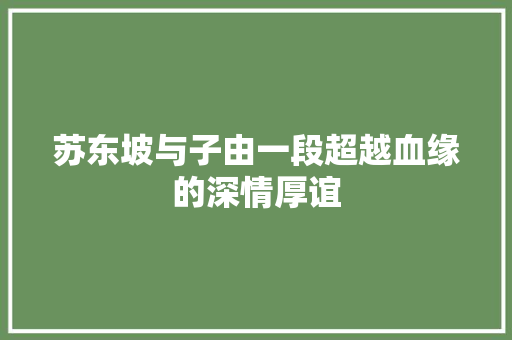 苏东坡与子由一段超越血缘的深情厚谊