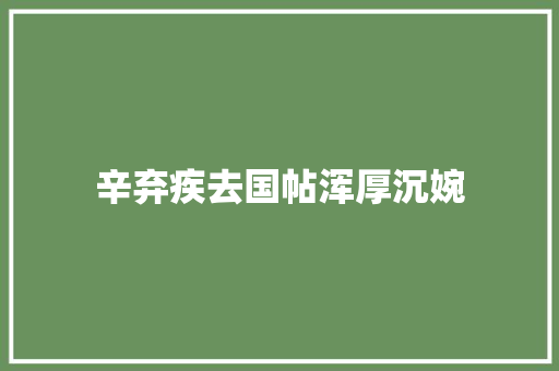 辛弃疾去国帖浑厚沉婉