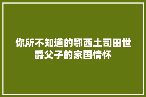 你所不知道的鄂西土司田世爵父子的家国情怀