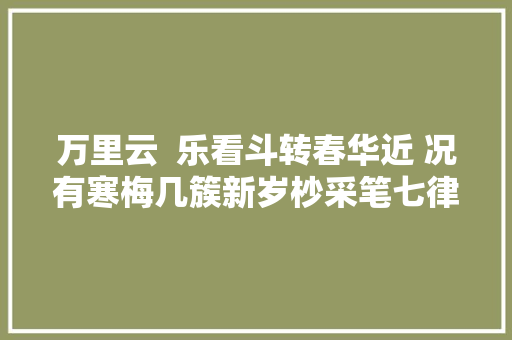 万里云  乐看斗转春华近 况有寒梅几簇新岁杪采笔七律十二首