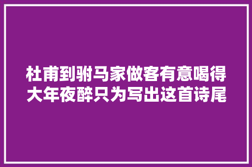 杜甫到驸马家做客有意喝得大年夜醉只为写出这首诗尾联