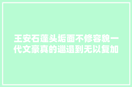 王安石蓬头垢面不修容貌一代文豪真的邋遢到无以复加的地步吗