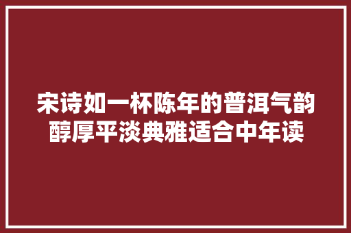 宋诗如一杯陈年的普洱气韵醇厚平淡典雅适合中年读