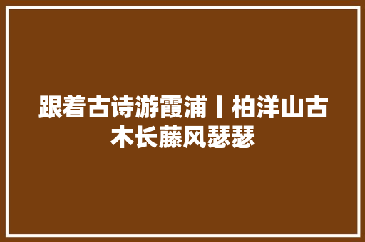 跟着古诗游霞浦丨柏洋山古木长藤风瑟瑟