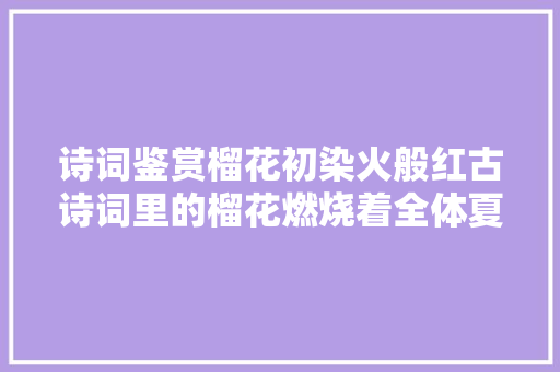 诗词鉴赏榴花初染火般红古诗词里的榴花燃烧着全体夏天