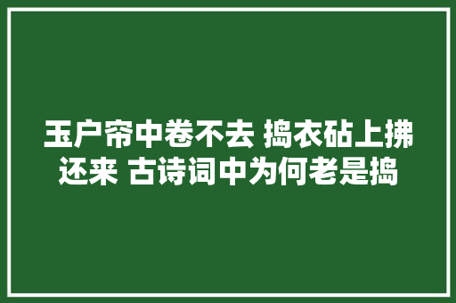 玉户帘中卷不去 捣衣砧上拂还来 古诗词中为何老是捣衣