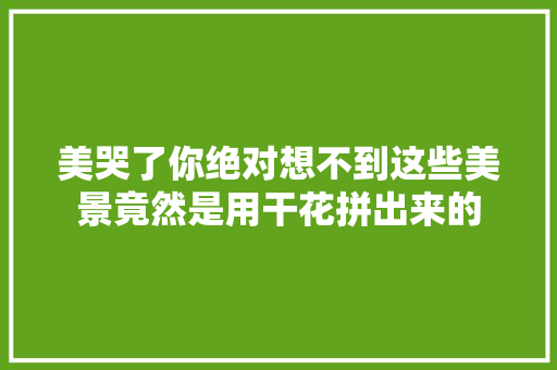 美哭了你绝对想不到这些美景竟然是用干花拼出来的