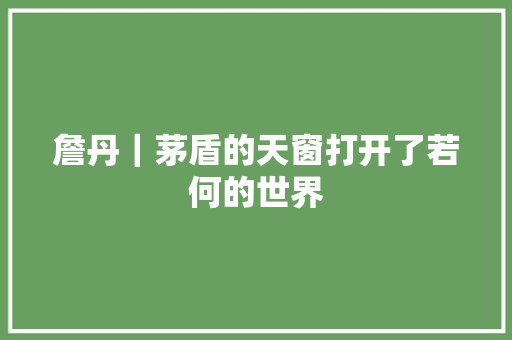 詹丹｜茅盾的天窗打开了若何的世界