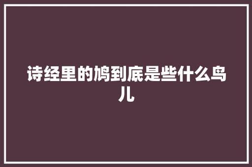 诗经里的鸠到底是些什么鸟儿