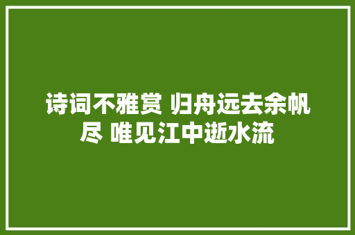 诗词不雅赏 归舟远去余帆尽 唯见江中逝水流