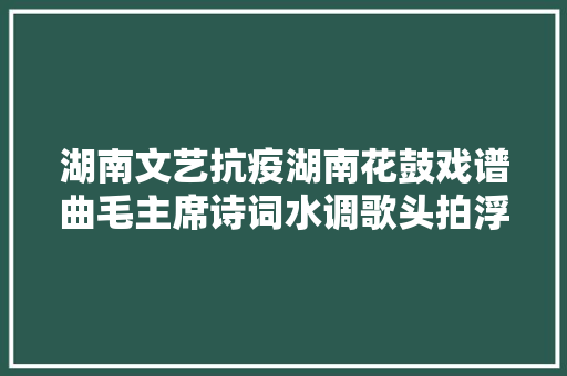 湖南文艺抗疫湖南花鼓戏谱曲毛主席诗词水调歌头拍浮为武汉鼓劲