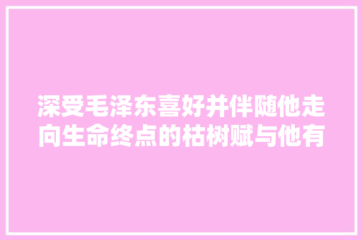 深受毛泽东喜好并伴随他走向生命终点的枯树赋与他有着若何的情感共鸣树如同此人何以堪