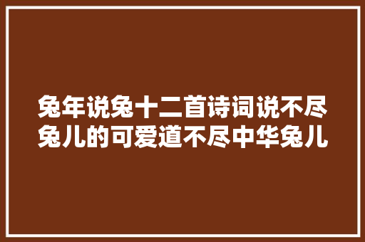 兔年说兔十二首诗词说不尽兔儿的可爱道不尽中华兔儿文化