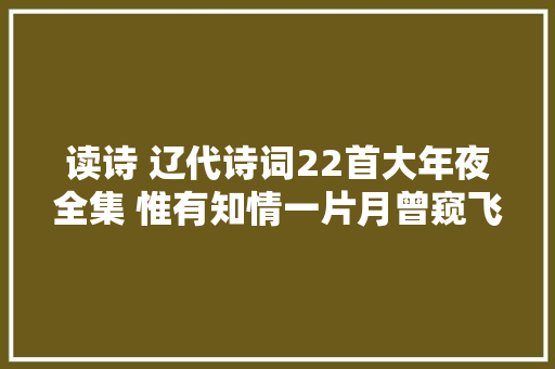 读诗 辽代诗词22首大年夜全集 惟有知情一片月曾窥飞燕入昭阳