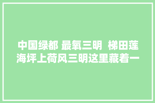 中国绿都 最氧三明  梯田莲海坪上荷风三明这里藏着一处人世仙境