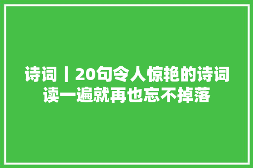 诗词丨20句令人惊艳的诗词读一遍就再也忘不掉落