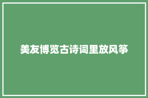 美友博览古诗词里放风筝