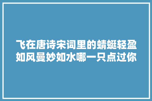 飞在唐诗宋词里的蜻蜓轻盈如风曼妙如水哪一只点过你的湖心