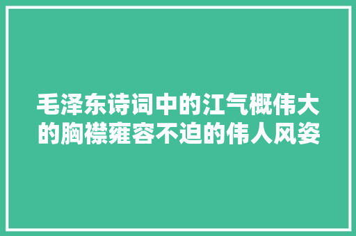 毛泽东诗词中的江气概伟大的胸襟雍容不迫的伟人风姿