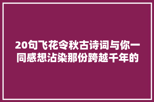 20句飞花令秋古诗词与你一同感想沾染那份跨越千年的秋天情愫