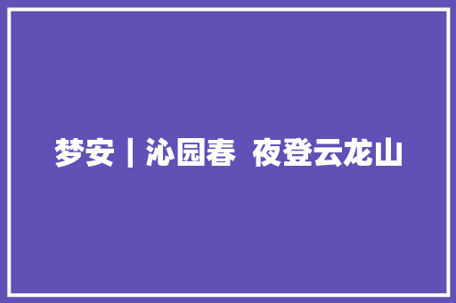 梦安｜沁园春  夜登云龙山
