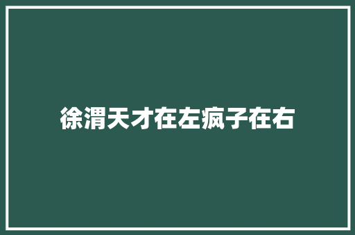 徐渭天才在左疯子在右