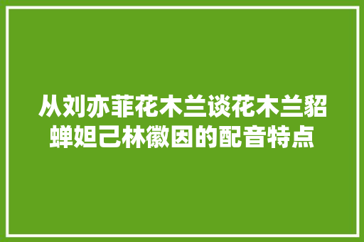 从刘亦菲花木兰谈花木兰貂蝉妲己林徽因的配音特点