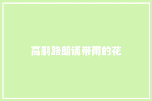 高鹏路朗诵带雨的花
