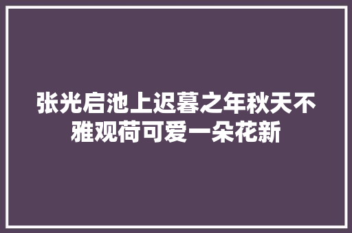 张光启池上迟暮之年秋天不雅观荷可爱一朵花新