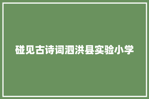 碰见古诗词泗洪县实验小学