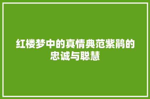 红楼梦中的真情典范紫鹃的忠诚与聪慧