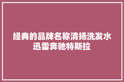 经典的品牌名称清扬洗发水迅雷奔驰特斯拉