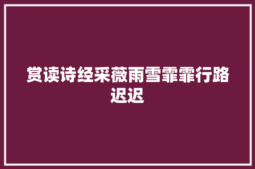 赏读诗经采薇雨雪霏霏行路迟迟