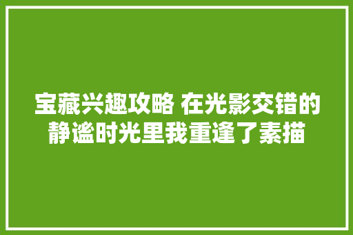 宝藏兴趣攻略 在光影交错的静谧时光里我重逢了素描