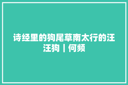 诗经里的狗尾草南太行的汪汪狗｜何频