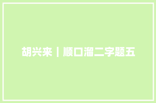 胡兴来｜顺口溜二字题五